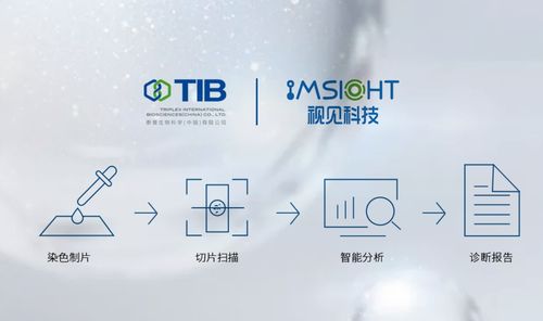 視見科技與泰普生物簽署戰略合作協議，攜手互普科技共啟病理診斷智能化新篇章